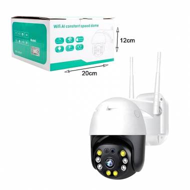 Κάμερα παρακολούθησης Wi-Fi - Wi-Fi AI constant speed dome
