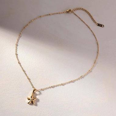 Γυναικείο Ατσάλινο Κολιέ Αστερίας – Women’s Steel Necklace