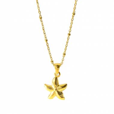 Γυναικείο Ατσάλινο Κολιέ Αστερίας – Women’s Steel Necklace