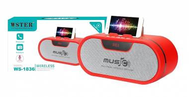 Φορητό Ηχείο Bluetooth Usb Ραδιόφωνο 20W Ισχυρό WS1836