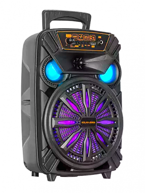 Φορητό Ηχείο Εξωτερικού Χώρου 15w Bluetooth AILIANG RGB 8