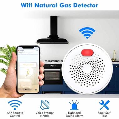Andowl Q-MQ25 Ανιχνευτής Διαρροής Γκαζιού Πρίζας - WiFi Combusitible Gas Detector